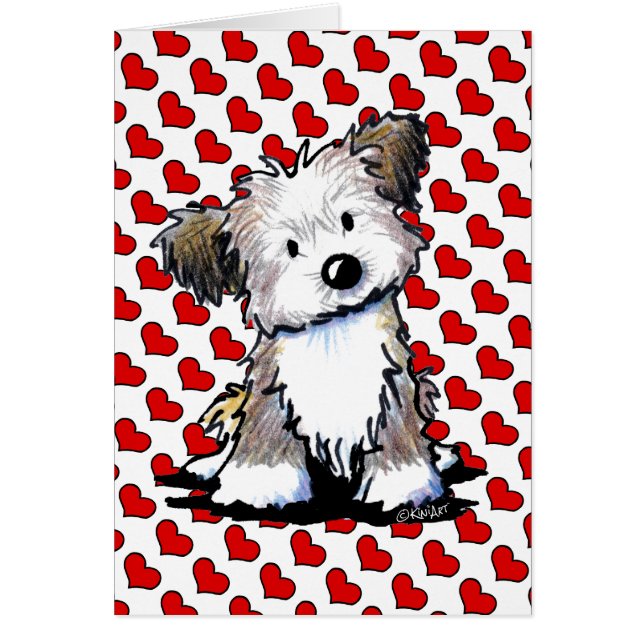 KiniArt Havanese (Voorkant)