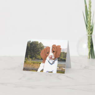 KiniArt Oranje Brittany Card Kaart