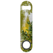 Kinkaku-ji, le pavillon d'or, Kyoto (Dos)