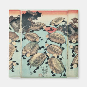 Kinki-Myo-Myo Magneet