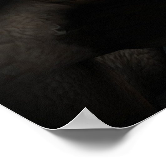 'Kinship' Print (Hoek)