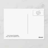 KINZUA DAM, PA BRIEFKAART (Achterkant)