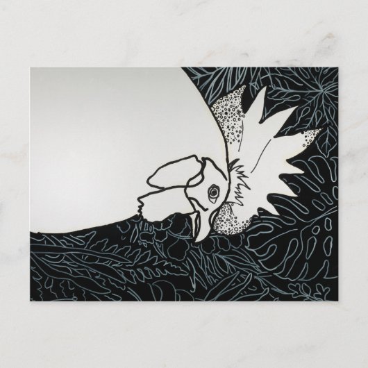 Kip 1 briefkaart (Voorkant)