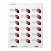 Kip Afbeelding Sinaasappel Rode Kip Etiket (Full Sheet)