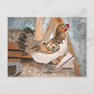 kip art pet portret postkaart kunst