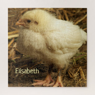 kip, dier, kuiken, vogel, boerderij, schattig, puz legpuzzel