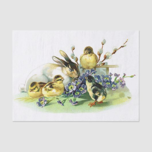 Kip en Bunny Tissuepapier (Voorkant)