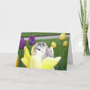 kip in een tulp feestdagen kaart