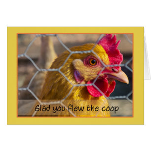 Kip in hek Blij dat je de coop hebt gevlogen.