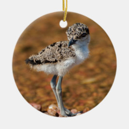 Kip Keramisch Ornament