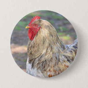 Kip Knop Ronde Button 7,6 Cm