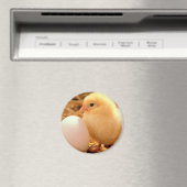 kip magneet (Insitu (Vaatwasser))