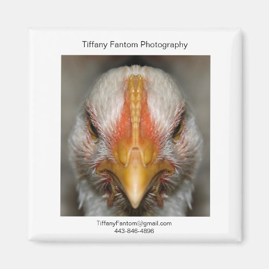 kip promo stuk magneet (Voorkant)