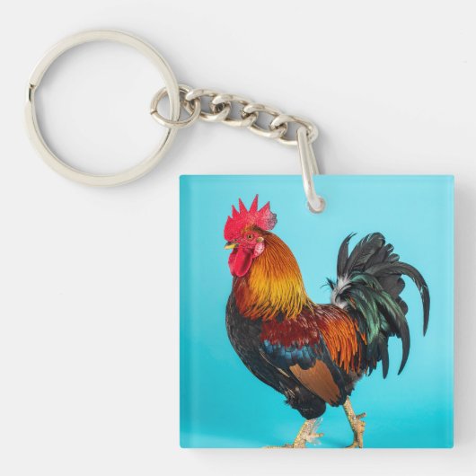 kip sleutelhanger (voorkant)