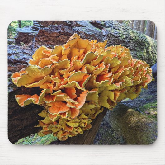 Kip van de Bossen Paddenstoel Foto Muismat (Voorkant)