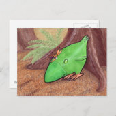 Kip van Plant briefkaart (Voorkant / Achterkant)