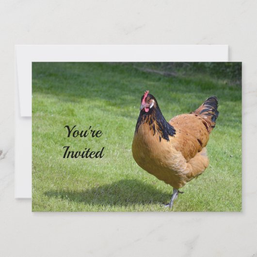 Kip Zwart en Goud Vorwerk Foto Verjaardag Kaart (Voorkant)