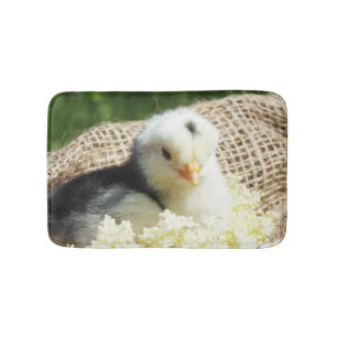 kipkuikens met een mat