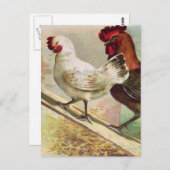  kippen bij  paasBriefkaart Briefkaart (Voorkant / Achterkant)