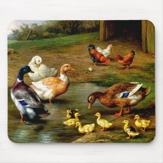 Kippen, eenden en slangen op het Boerderij Muismat (Voorkant)