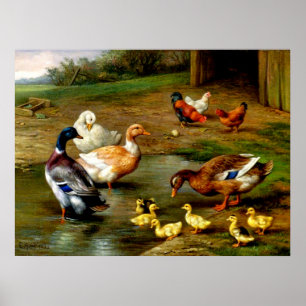 Kippen, eenden en slangen op het Boerderij Poster