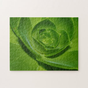 Kippen en kuikens Succulent Cactus Green Puzzel