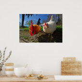 kippen en rooster poster (Keuken)