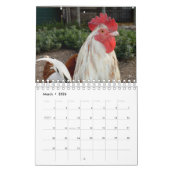 kippen en roosters, kalender (Mar 2026)