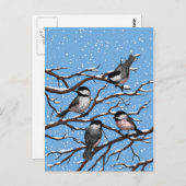 Kippen in de winter briefkaart (Voorkant / Achterkant)