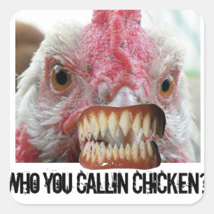 Kippen, kippen, tanden, DracaChicken Vierkante Sticker