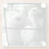 Kippen met pixel glazen onderzetter (Achterkant)