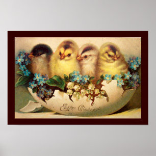KIPPEN MET STROMEN IN EENVOUDIGERE EGG POSTER