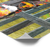 Kippen op het Boerderij Poster (Hoek)