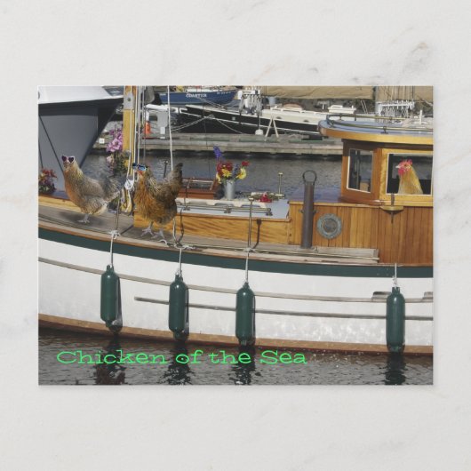 Kippen op Zee - Humor Briefkaart (Voorkant)