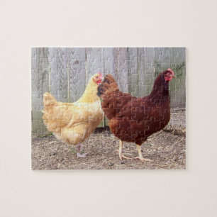 Kippen Puzzle Legpuzzel