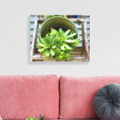 kippen Succulenten Fotoolie Schilderen Canvas Afdruk (Insitu (Woonkamer))