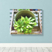kippen Succulenten Fotoolie Schilderen Canvas Afdruk (Insitu (Houten vloer))