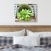 kippen Succulenten Fotoolie Schilderen Canvas Afdruk (Insitu (Slaapkamer))