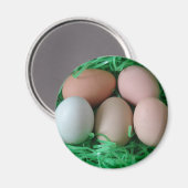 Kippeneieren Magneet (Voorkant / Achterkant)