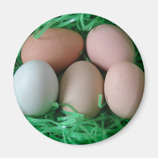 Kippeneieren Magneet (Voorkant)