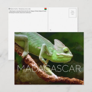 Kirindy, Madagascar Carte Postale de Voyage