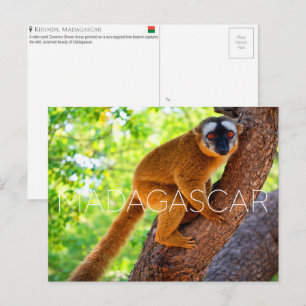 Kirindy, Madagaskar Reisansichtkaart Briefkaart