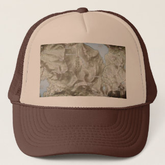 Kirkwood Topo Trucker Pet