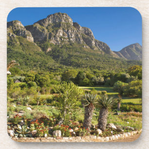 Kirstenbosch Botanic Gardens, Kaapstad Drankjes Onderzetter