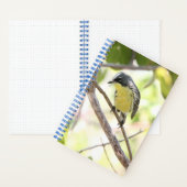 Kirtland's Warbler spiral bound bullet journal (À l'intérieur)