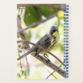 Kirtland's Warbler spiral bound bullet journal (Verso)