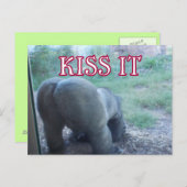 Kiss Briefkaart (Voorkant / Achterkant)