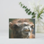 Kiss Kiss Briefkaart (Staand voorkant)