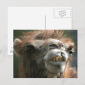 Kiss Kiss Briefkaart (Voorkant / Achterkant)