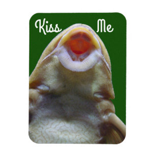 Kiss me Fish Magneet